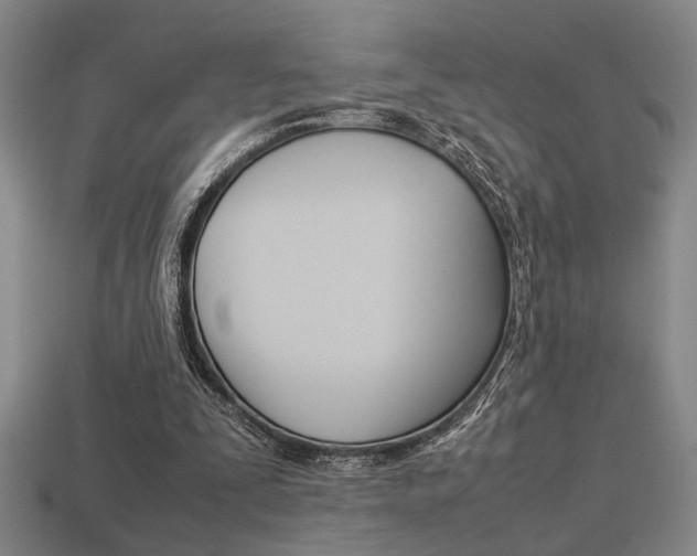 X0000113260295200909101256