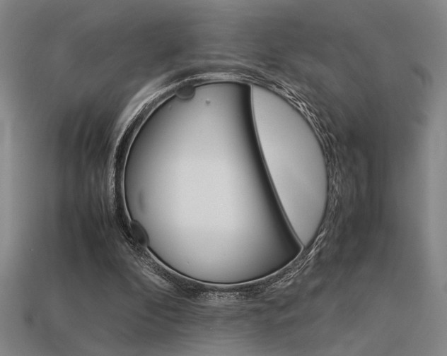 X0000113260296200909101256