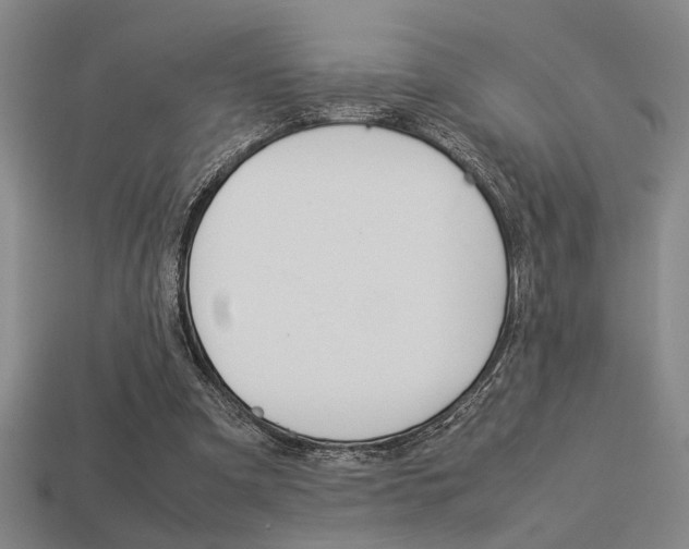 X0000113260297200909101256