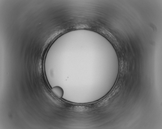 X0000113260298200909101256