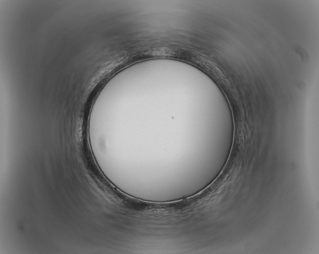 X0000113260299200909101256