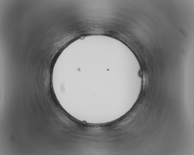 X0000113260301200909101256