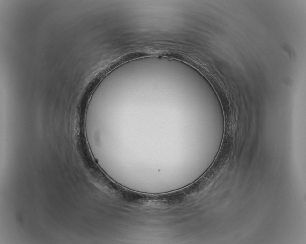 X0000113260303200909101256