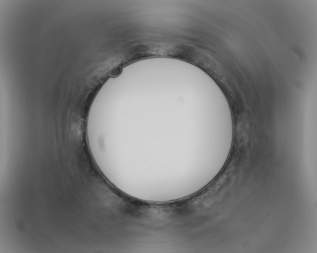 X0000113260305200909101256