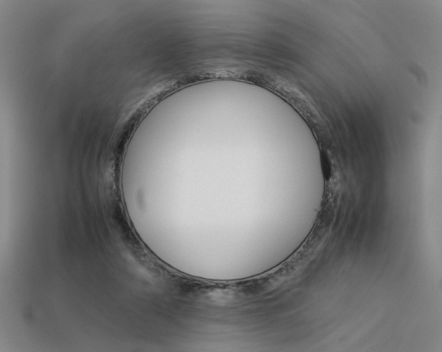 X0000113260306200909101256