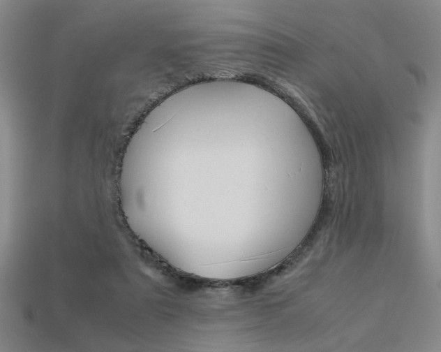 X0000113260307200909101256