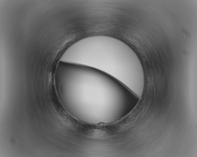 X0000113260308200909101256