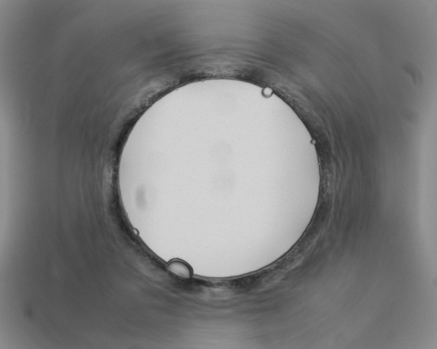 X0000113260309200909101256