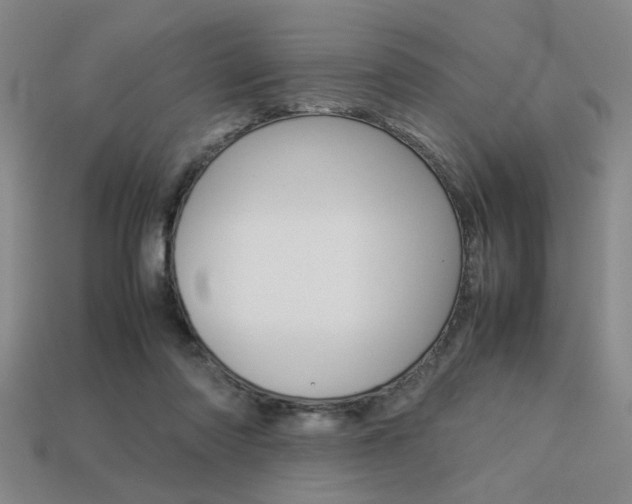 X0000113260310200909101256