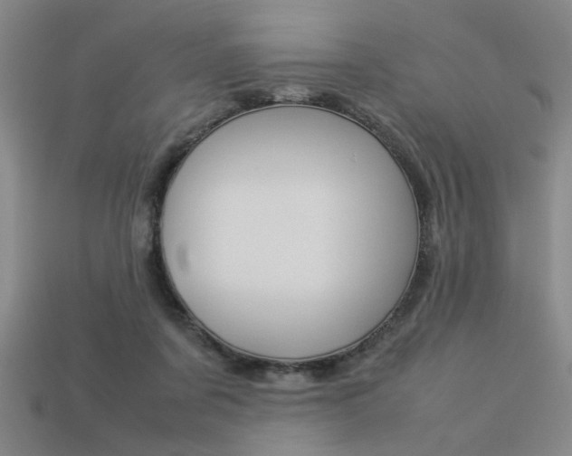 X0000113260311200909101256