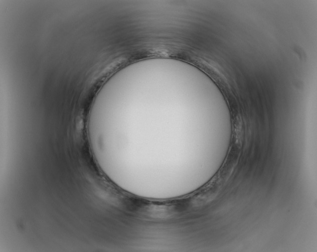 X0000113260314200909101256