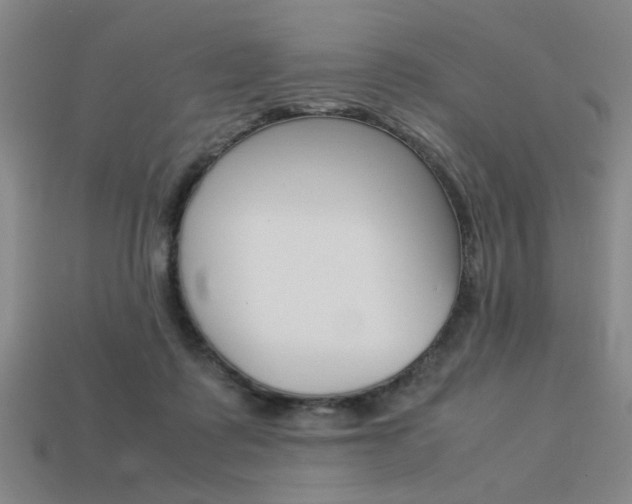 X0000113260315200909101256