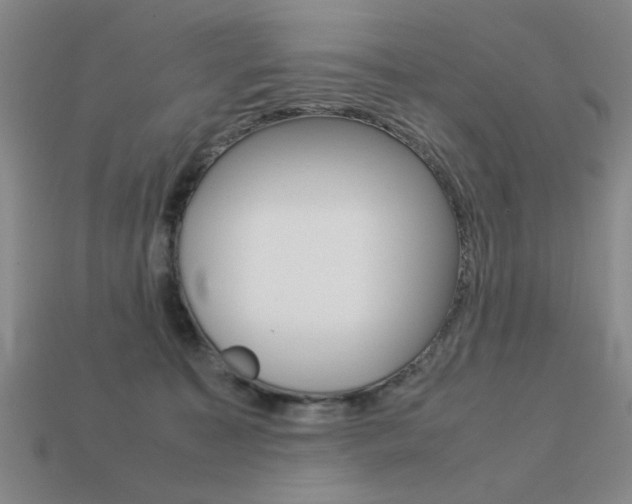 X0000113260323200909101255