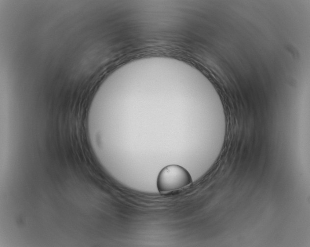 X0000113260324200909101255