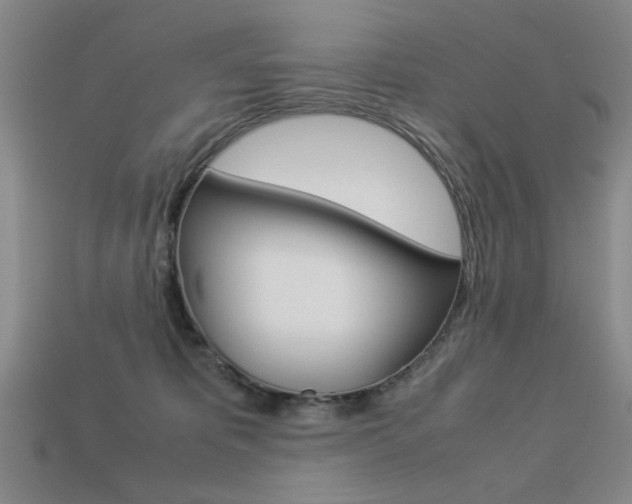 X0000113260325200909101255