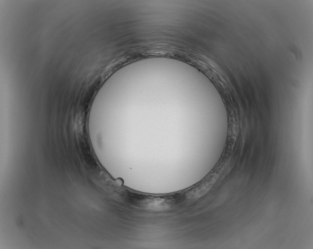 X0000113260326200909101255