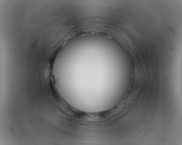 X0000113260328200909101255