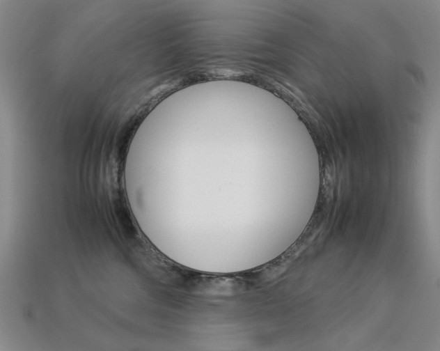 X0000113260330200909101255