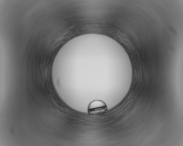 X0000113260332200909101255