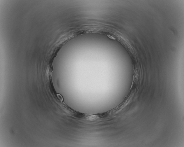 X0000113260333200909101255