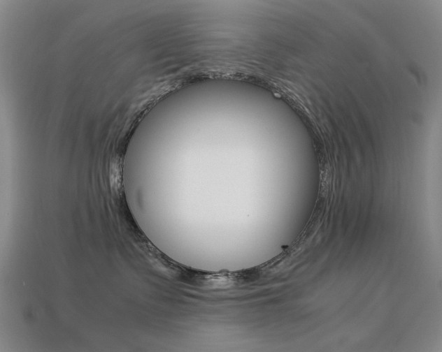 X0000113260335200909101255