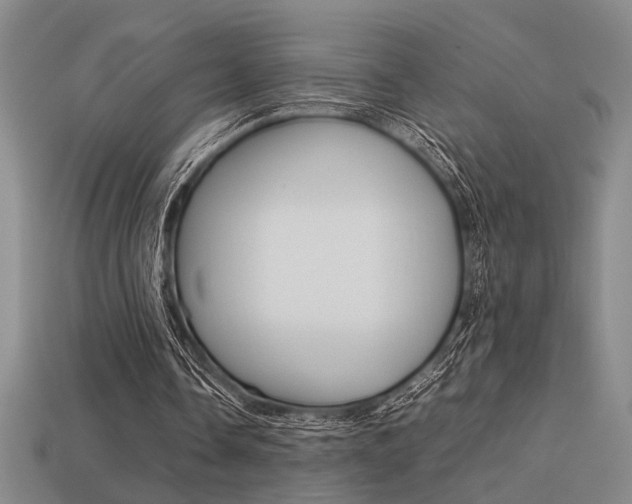 X0000113260338200909101254