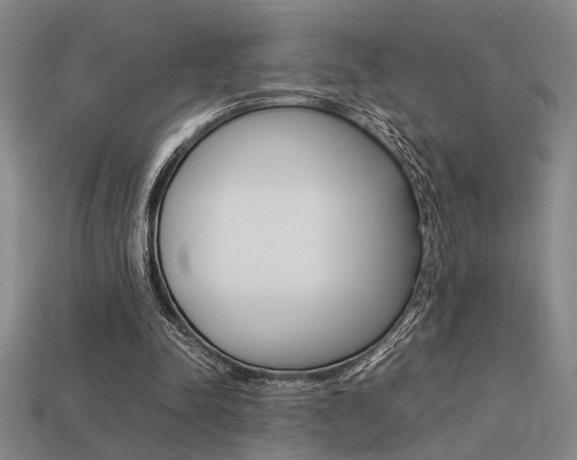 X0000113260342200909101255