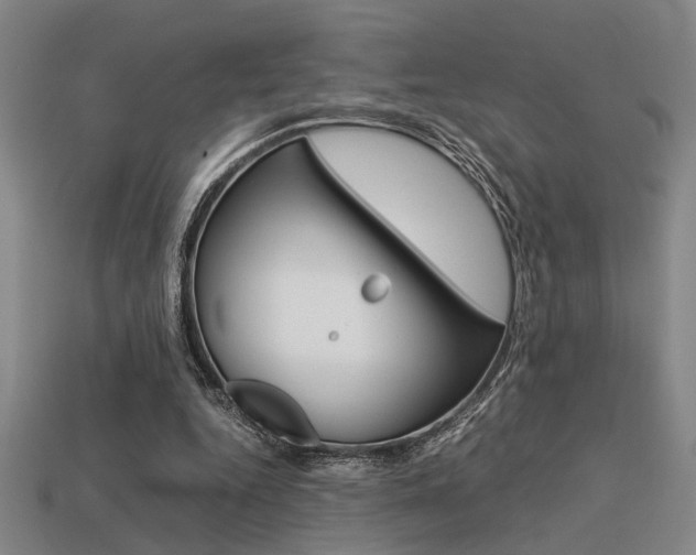 X0000113260344200909101255