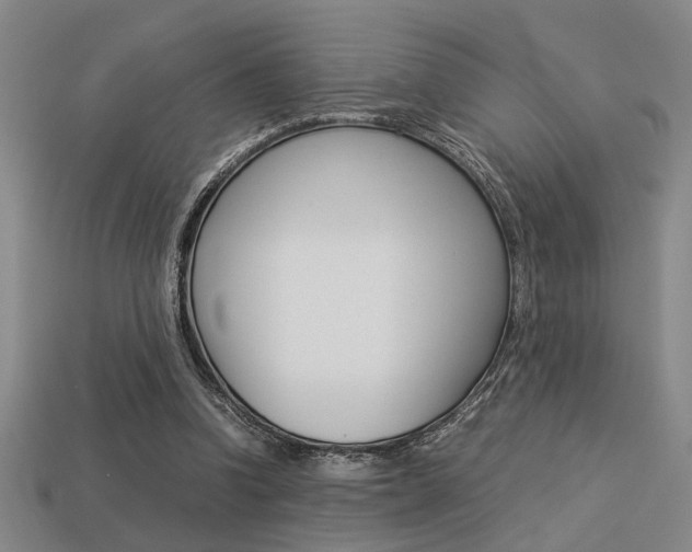 X0000113260346200909101255