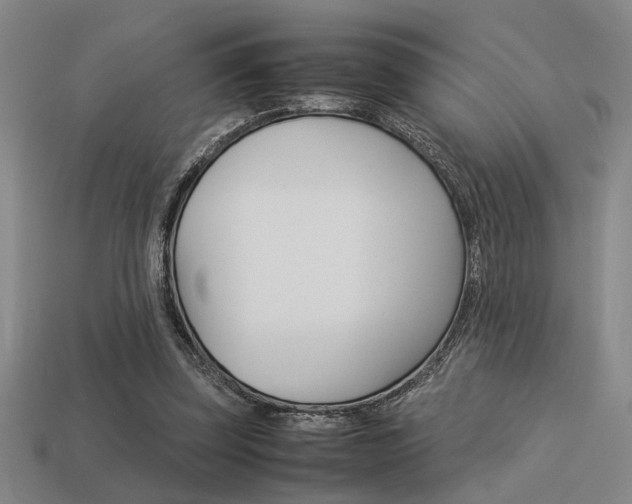 X0000113260347200909101255