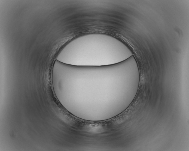 X0000113260353200909101255