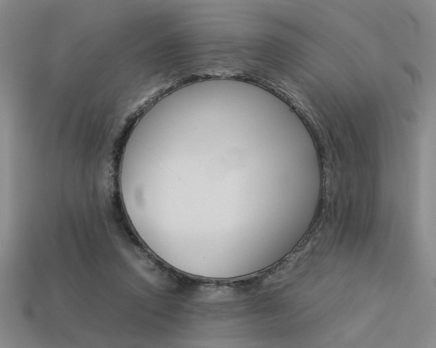 X0000113260354200909101255