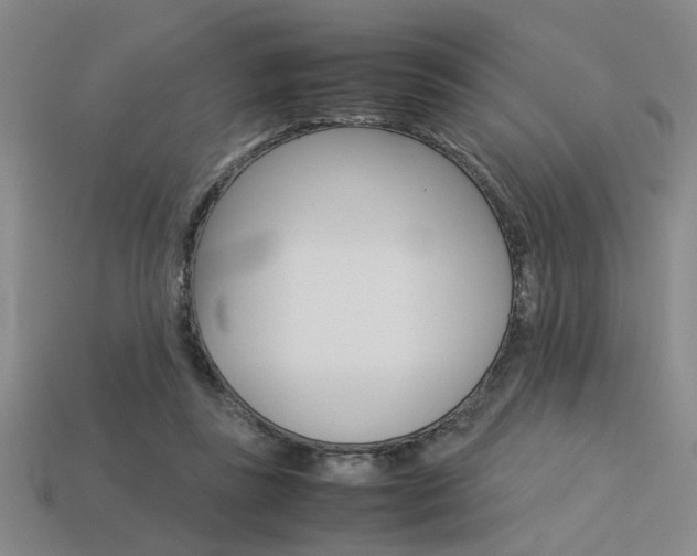 X0000113260355200909101255