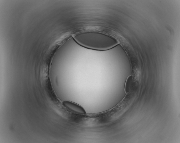 X0000113260356200909101255