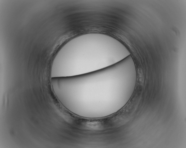 X0000113260357200909101255