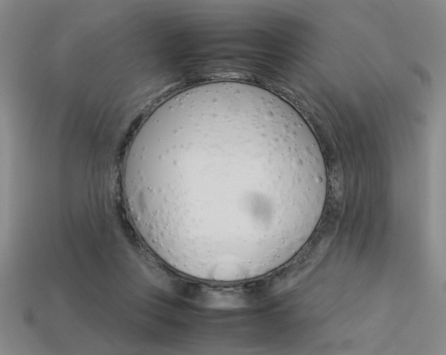 X0000113260359200909101255