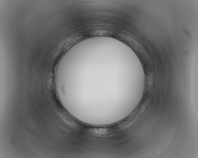 X0000113260361200909101255