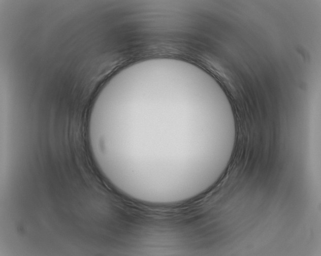 X0000113260362200909101255