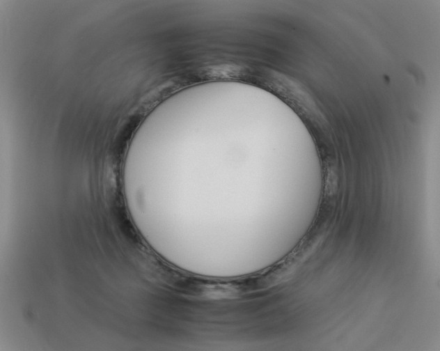 X0000113260363200909101255