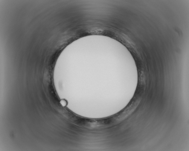 X0000113260370200909101255