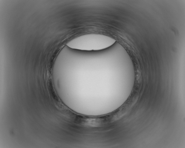 X0000113260371200909101255