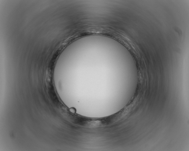 X0000113260374200909101255