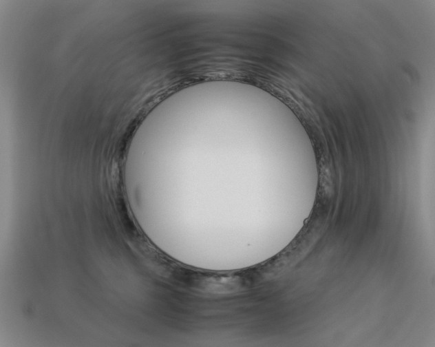 X0000113260375200909101255