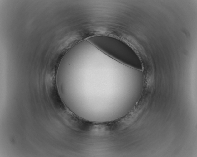 X0000113260376200909101255