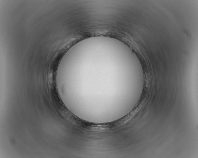 X0000113260378200909101255