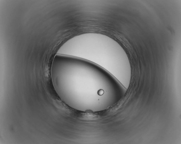 X0000113260380200909101255