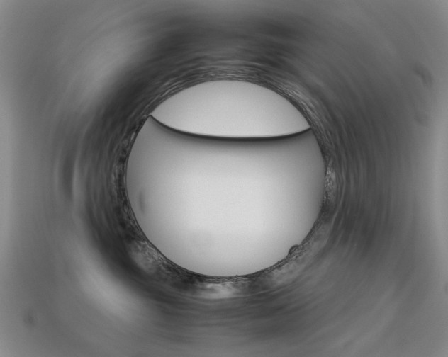 X0000113260381200909101255