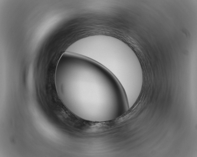 X0000113260382200909101255