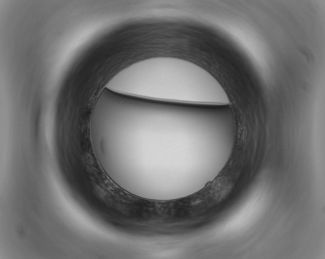 X0000113260383200909101255