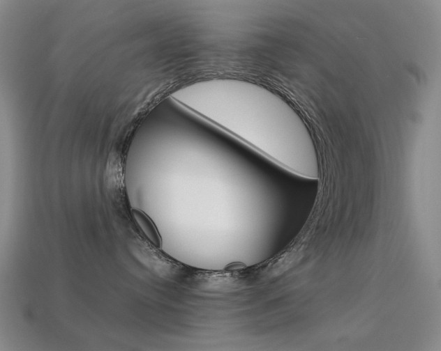 X0000113260384200909101255